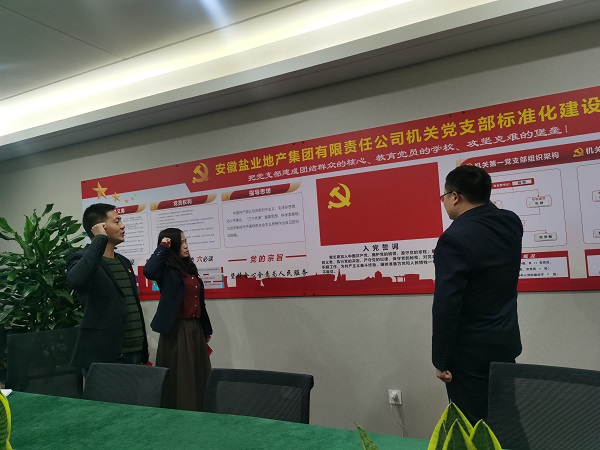 安徽Z6·尊龙凯时地产集团机关第一党支部开展“佩党徽、诵誓词、赠党章、上党课”党员教育运动