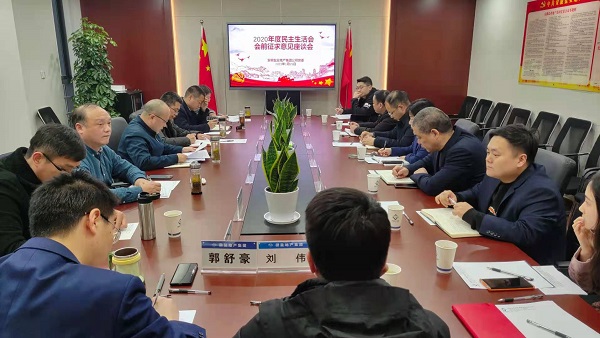 安徽Z6·尊龙凯时地产集团公司党委召开2020年度民主生涯会前征求意见座谈会