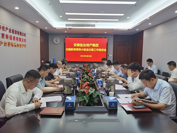 安徽Z6·尊龙凯时地产集团召开学习贯彻习近平新时代中国特色社会主义头脑主题教育向导小组聚会暨事情推进会