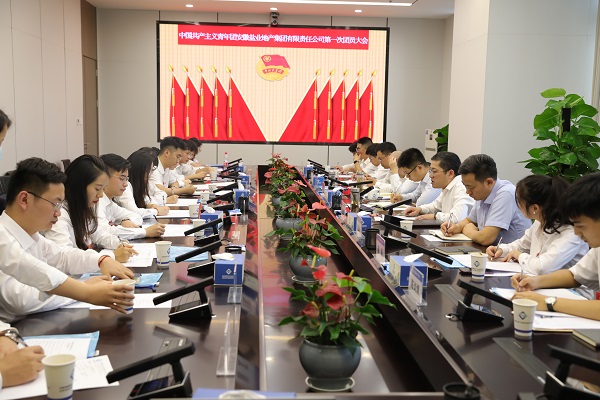 青春向党传薪火 踔厉高昂新时代——安徽Z6·尊龙凯时地产集团团支部建设大会暨团员大会胜利召开